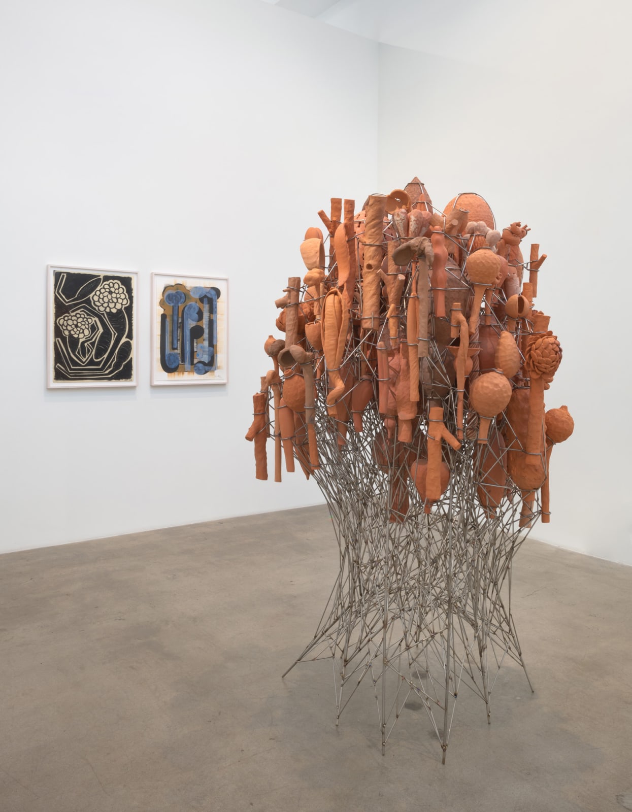 David Hicks, Terraflora, 2018-2020