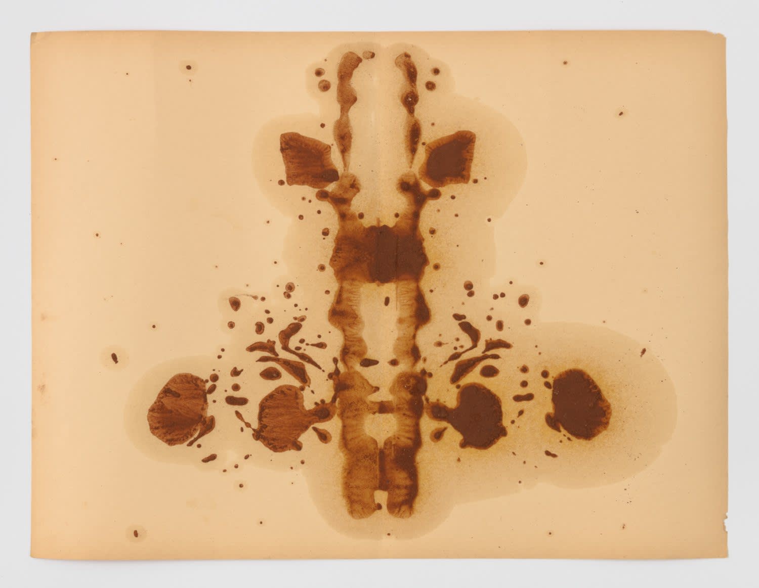 Ashanti Chaplin, Interior landscape (12), 2024