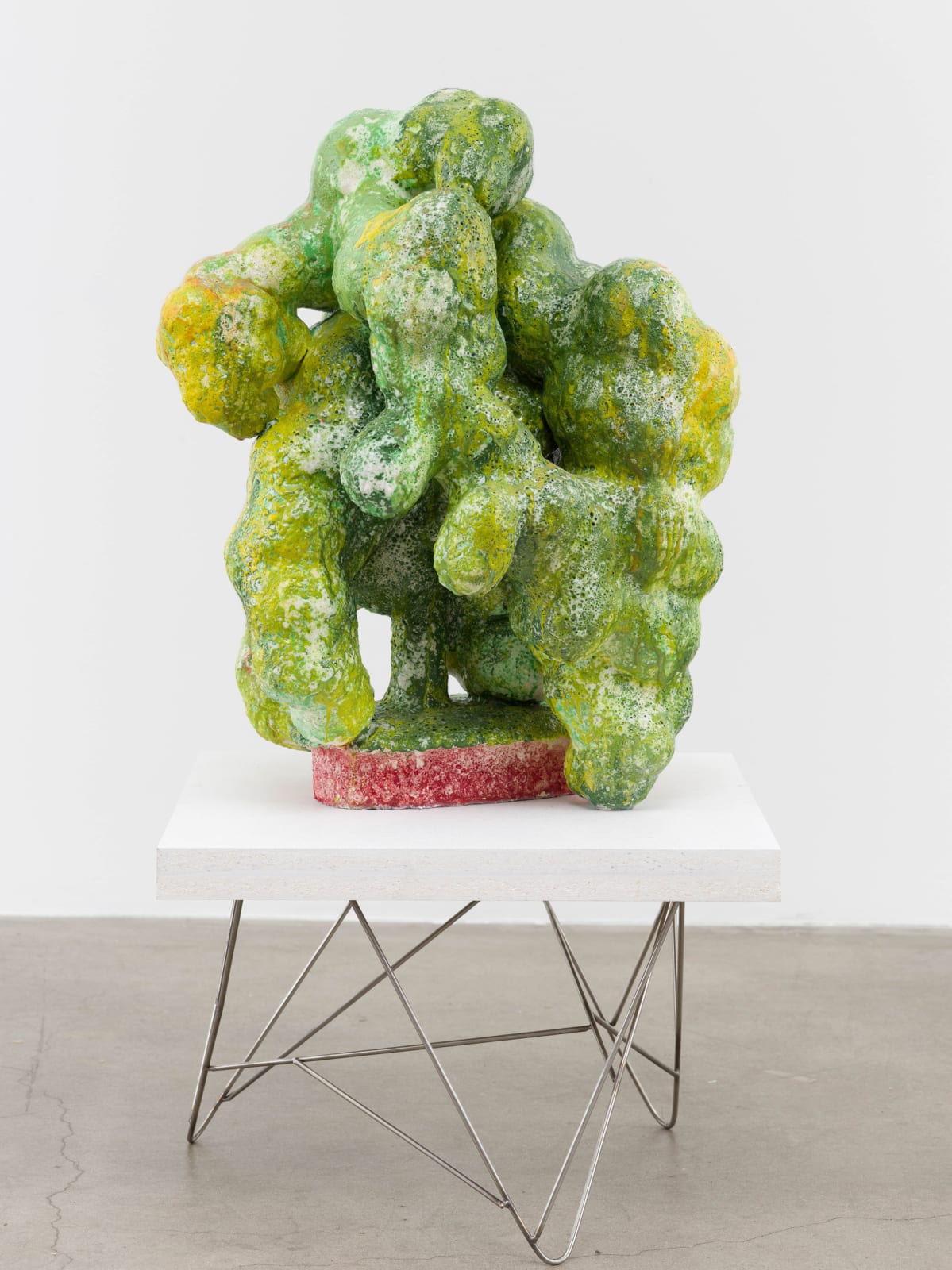 David Hicks, Old Fern, 2023