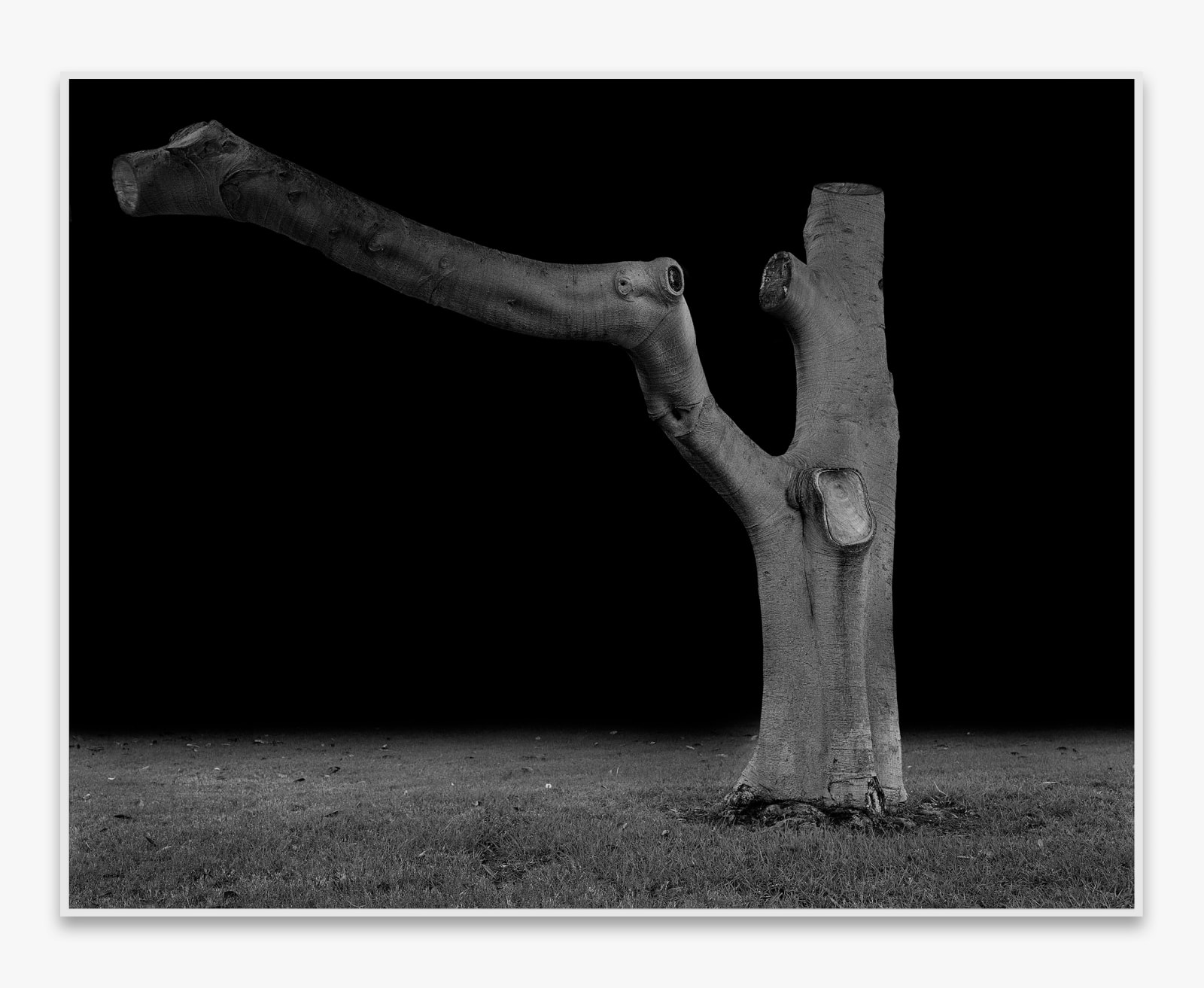 Amir Zaki, Artwork #1, 2007