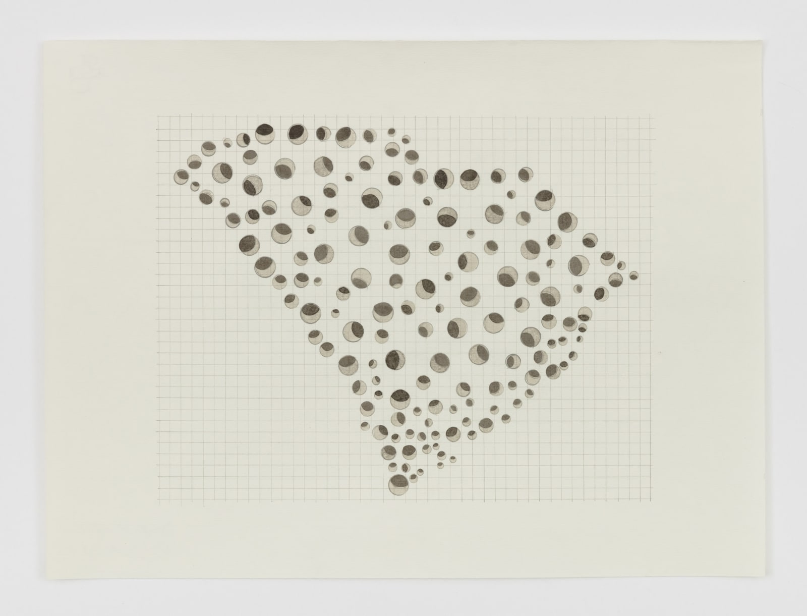 Margaret Griffith, State Drawings (South Carolina), 2020-2024