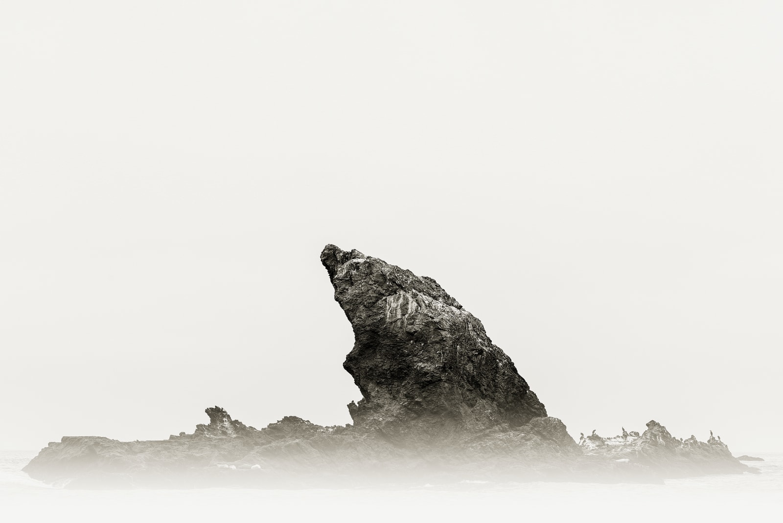 Amir Zaki, Rock #33, 2016