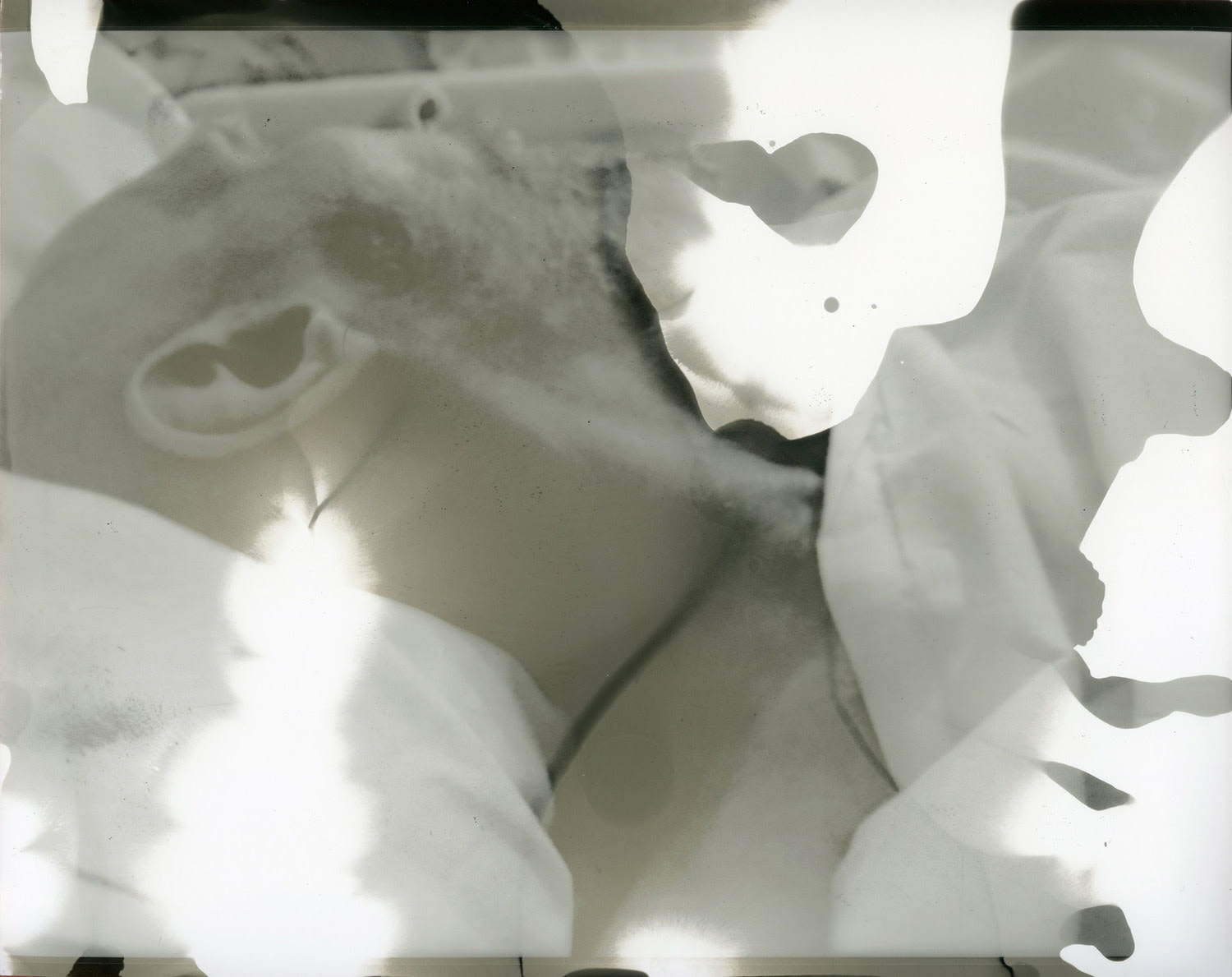 Farrah Karapetian, The Gesture of Memory, 2019