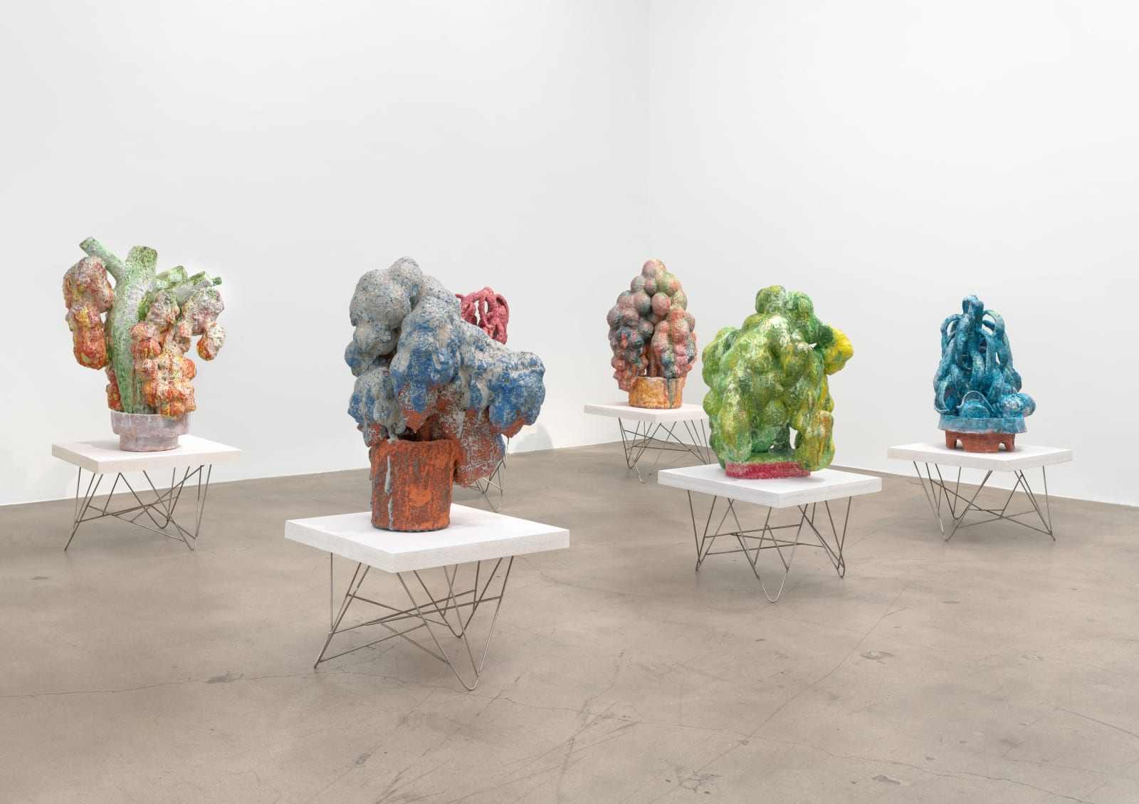 David Hicks, Old Fern, 2023