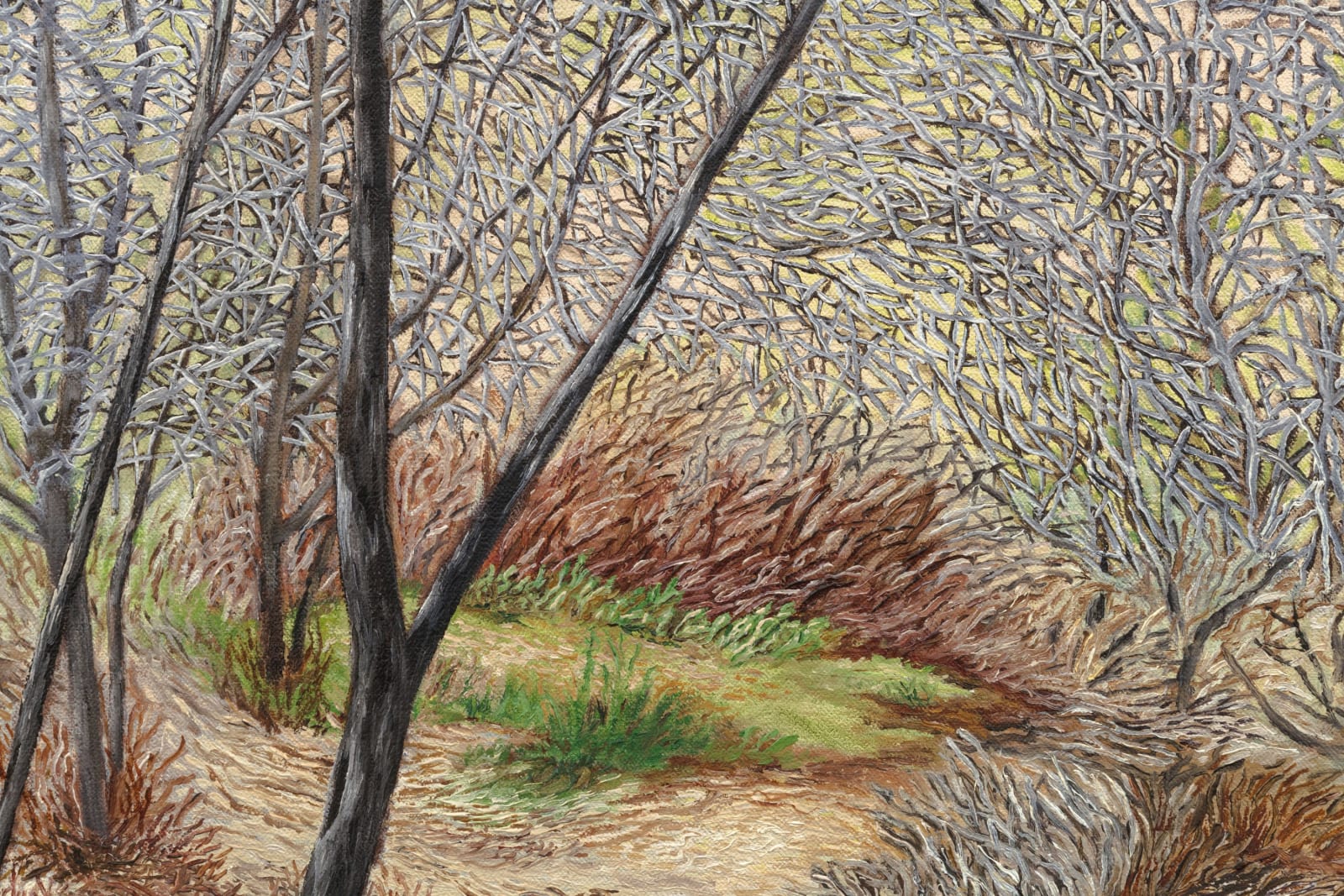 Pam Posey, Solstice Canyon, 2024