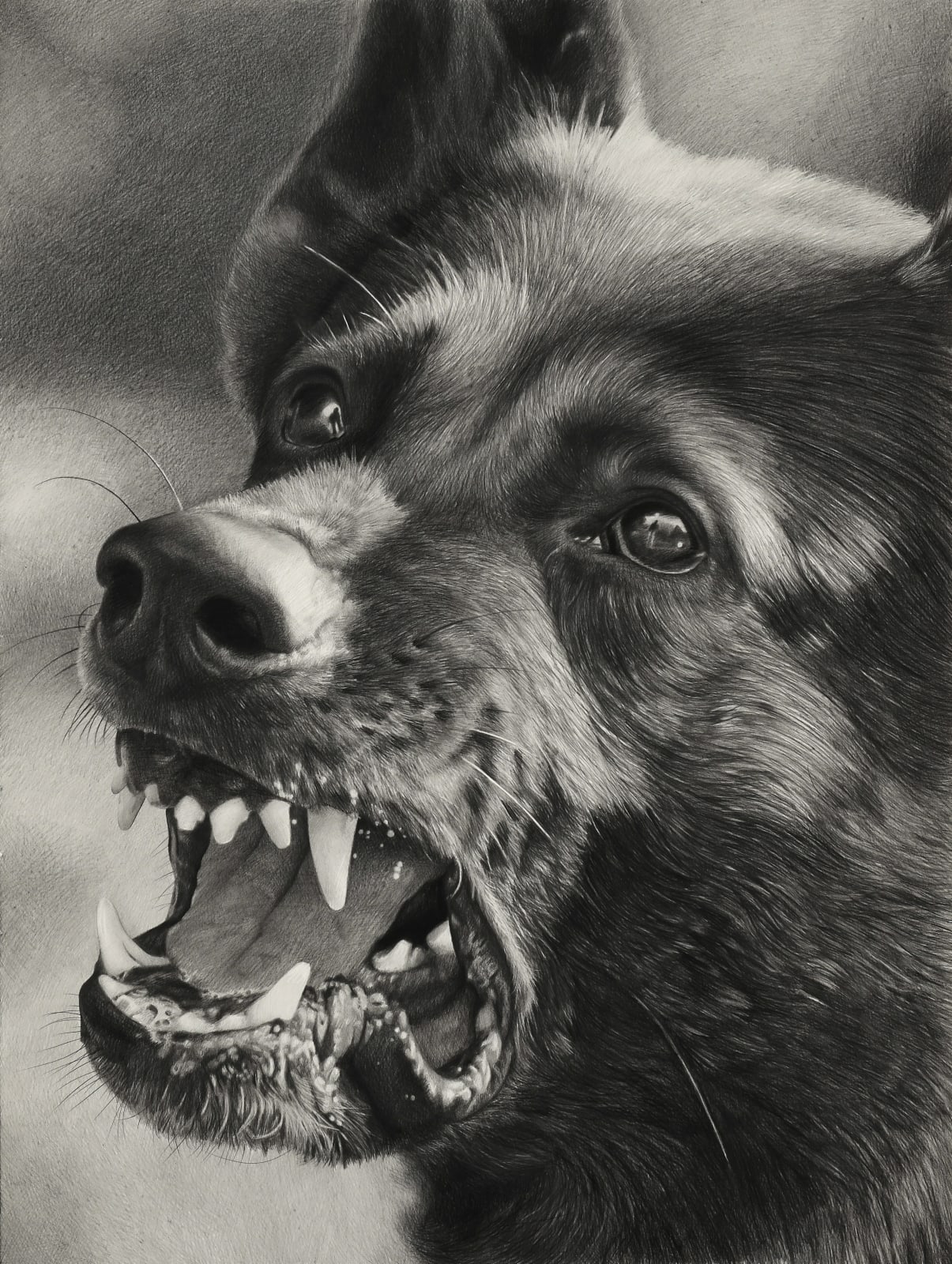 Karl Haendel, Angry Dog 7, 2023