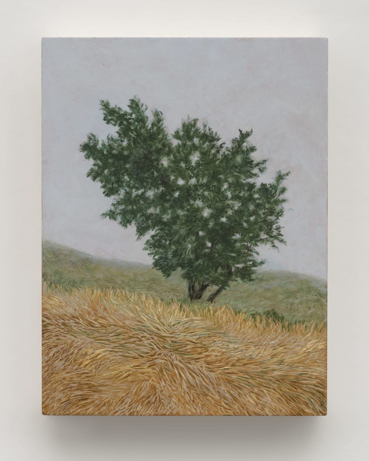 Pam Posey, Ridge Tree, 2024
