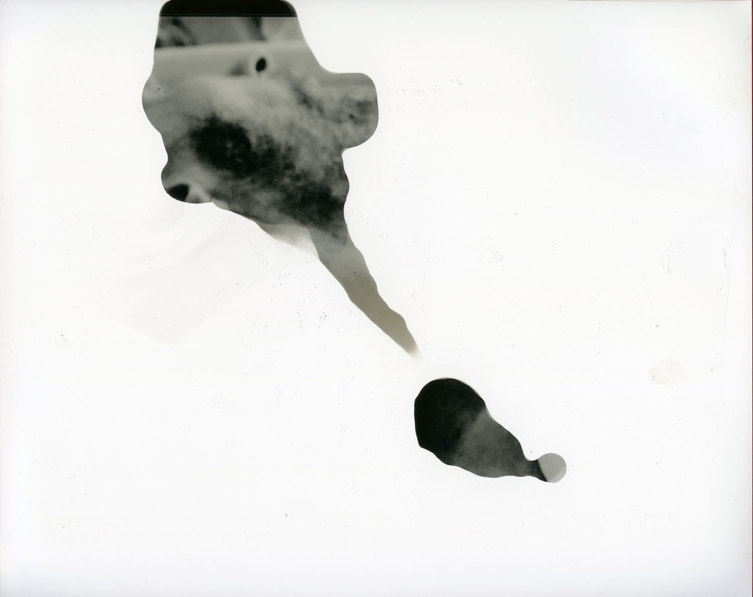 Farrah Karapetian, The Gesture of Memory, 2019