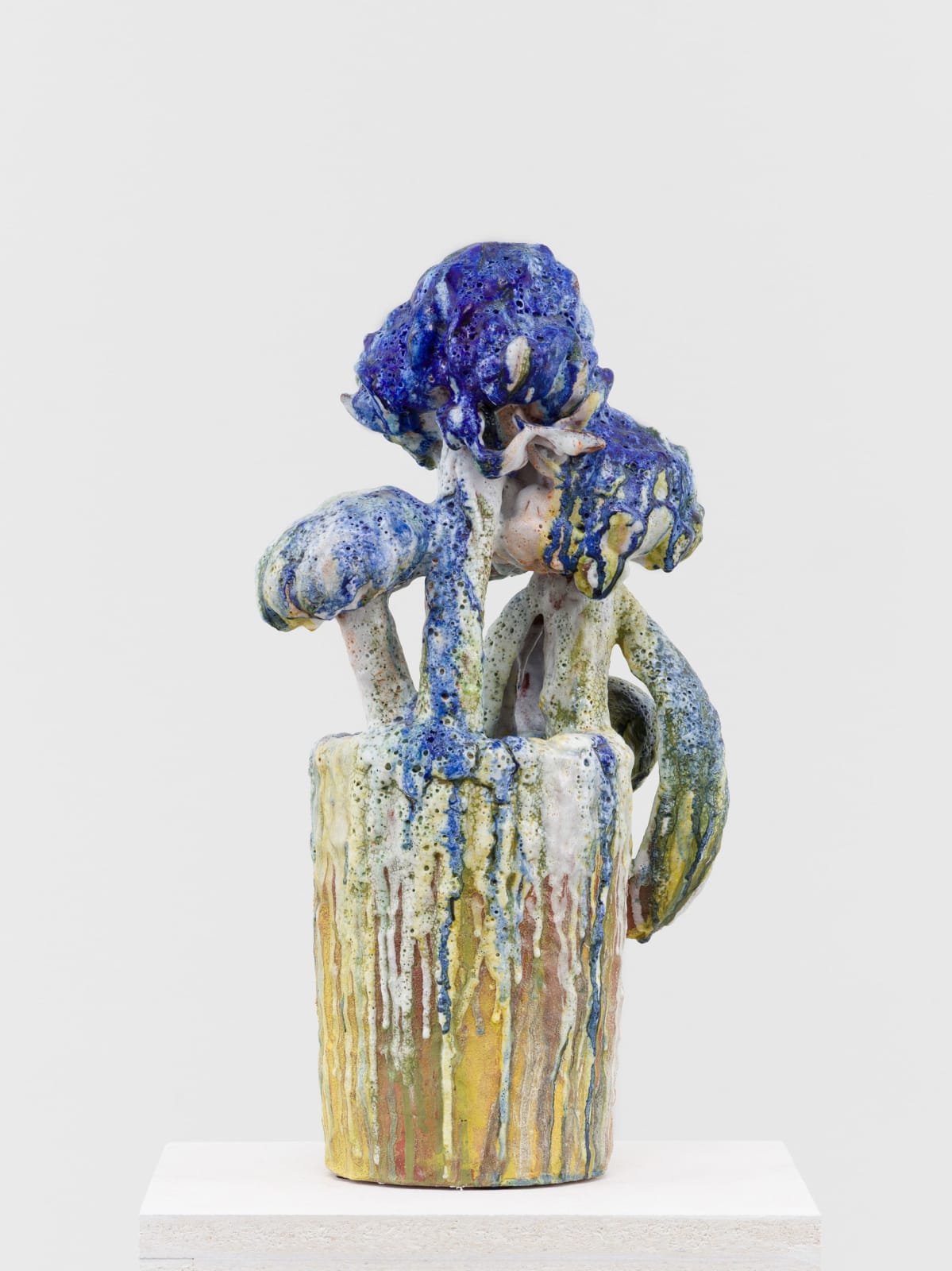 David Hicks, Clipping (Blue Blooms), 2023