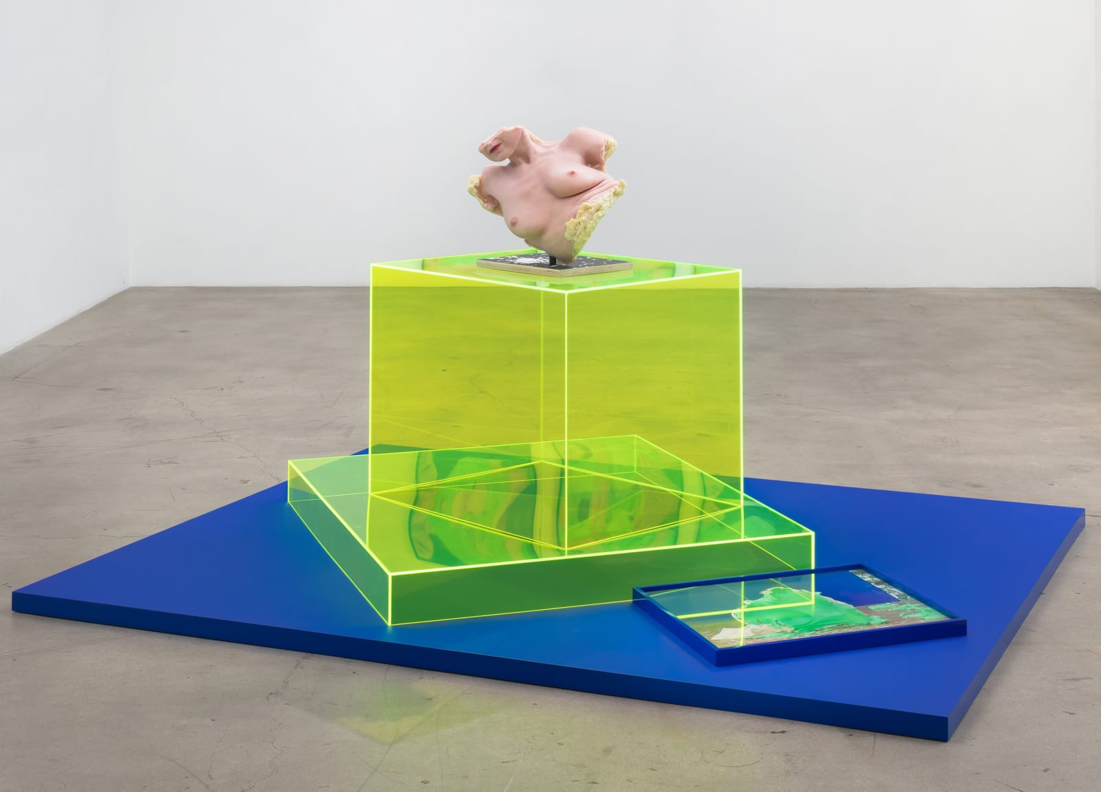 Ilona Szwarc, Virgin Soap (Installation), 2021