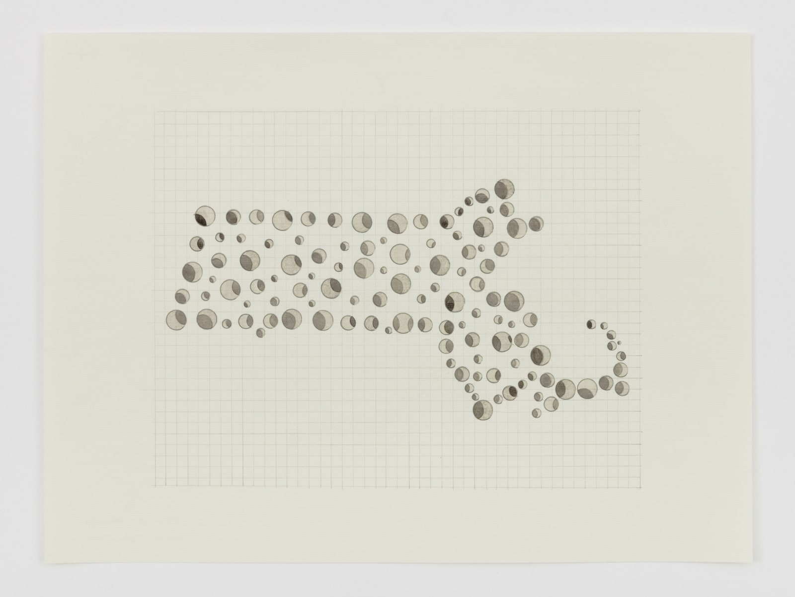 Margaret Griffith, State Drawings (Massachusetts), 2020-2024