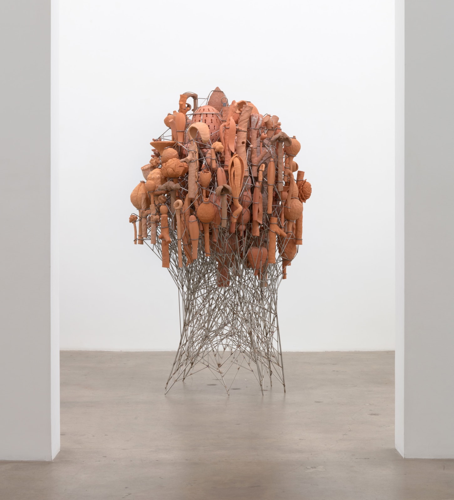 David Hicks, Terraflora, 2018-2020