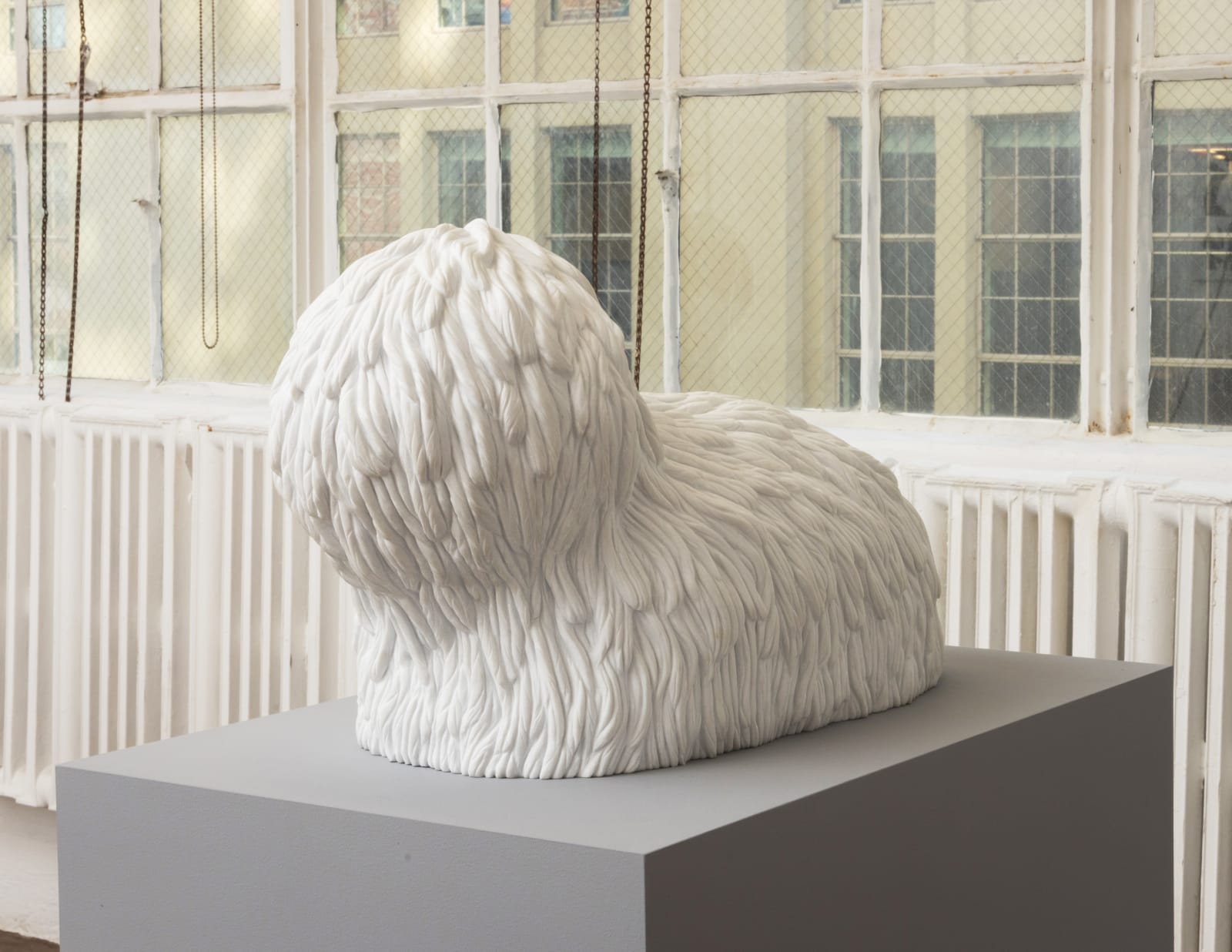 Carl D'Alvia, Barboncino, 2019