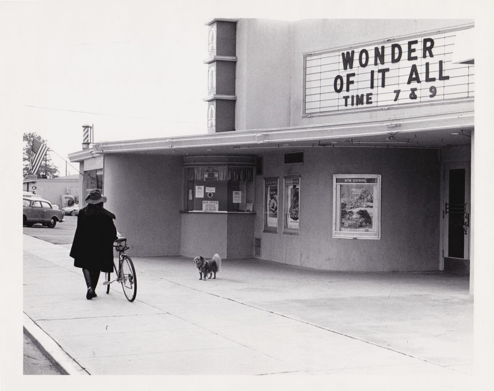 Eleanor Antin, Untitled (from "The King of Solana Beach"), 1974-75