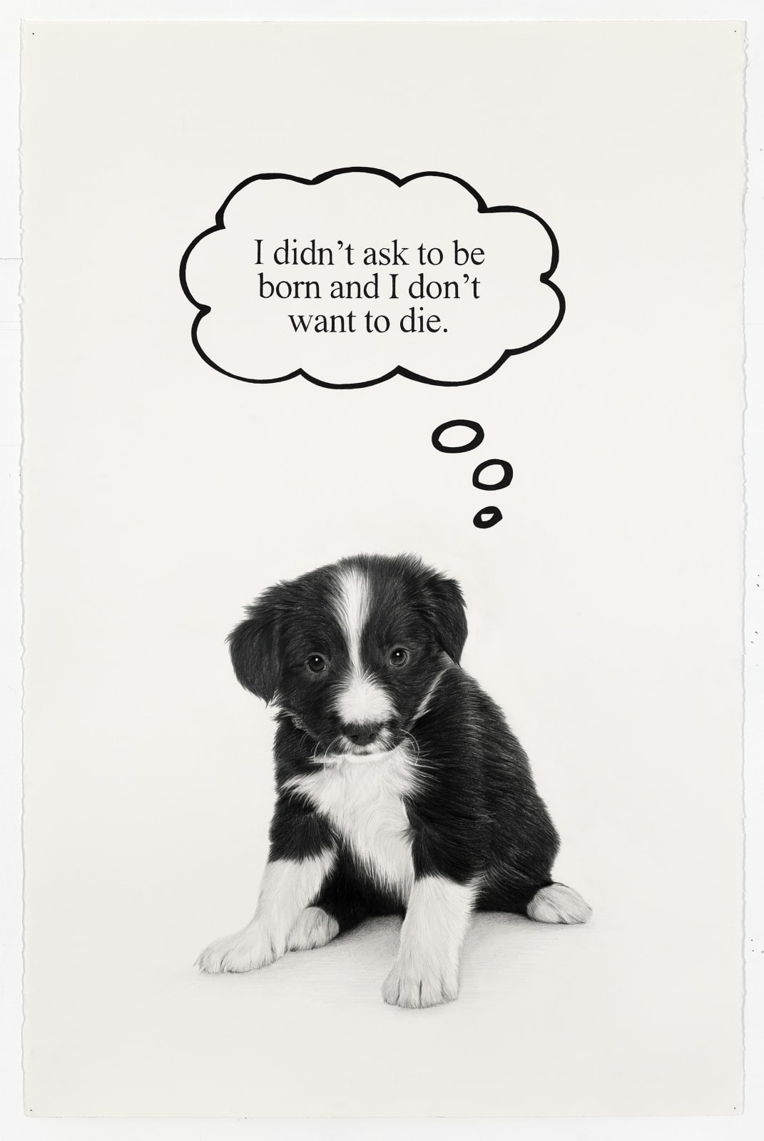 Karl Haendel, I didn't ask to be born and I don't want to die., 2024