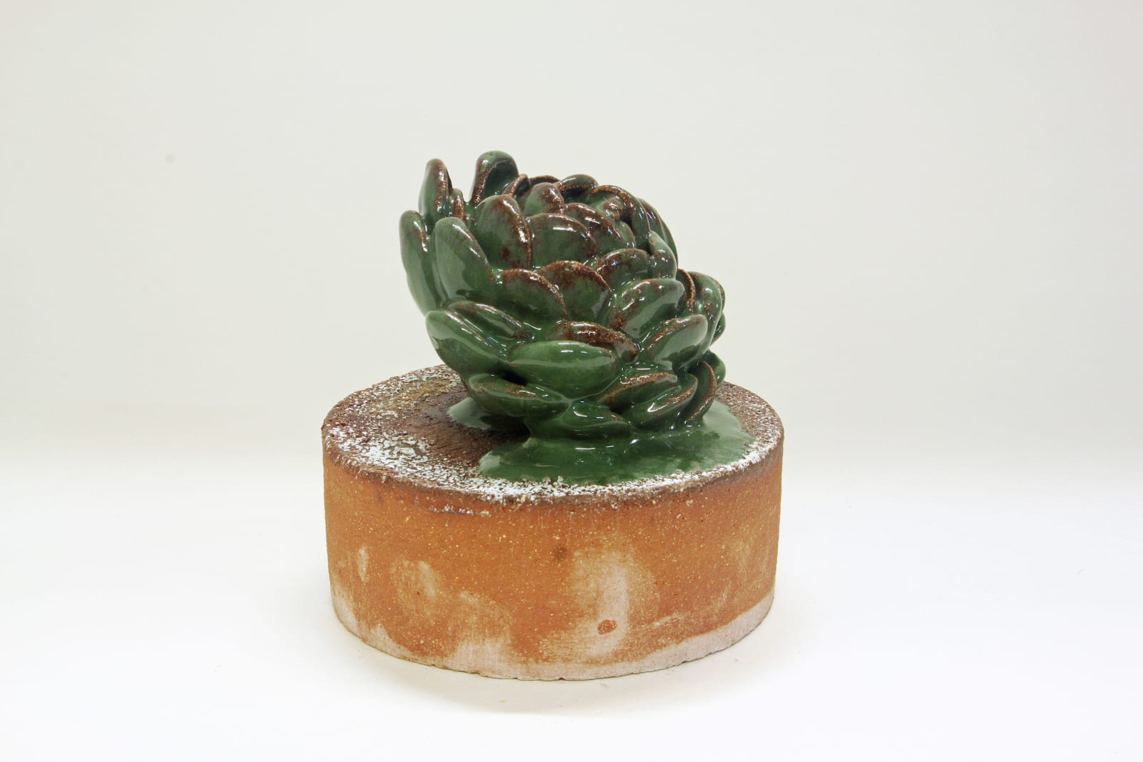 David Hicks, Clipping (Olive Bloom), 2020