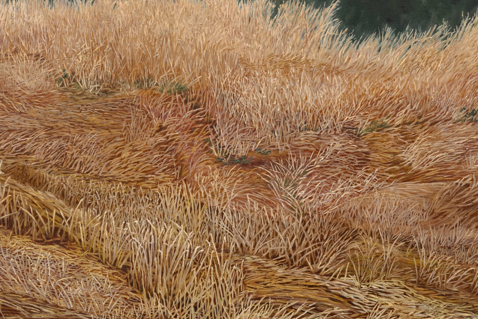 Pam Posey, Field Study, 2024