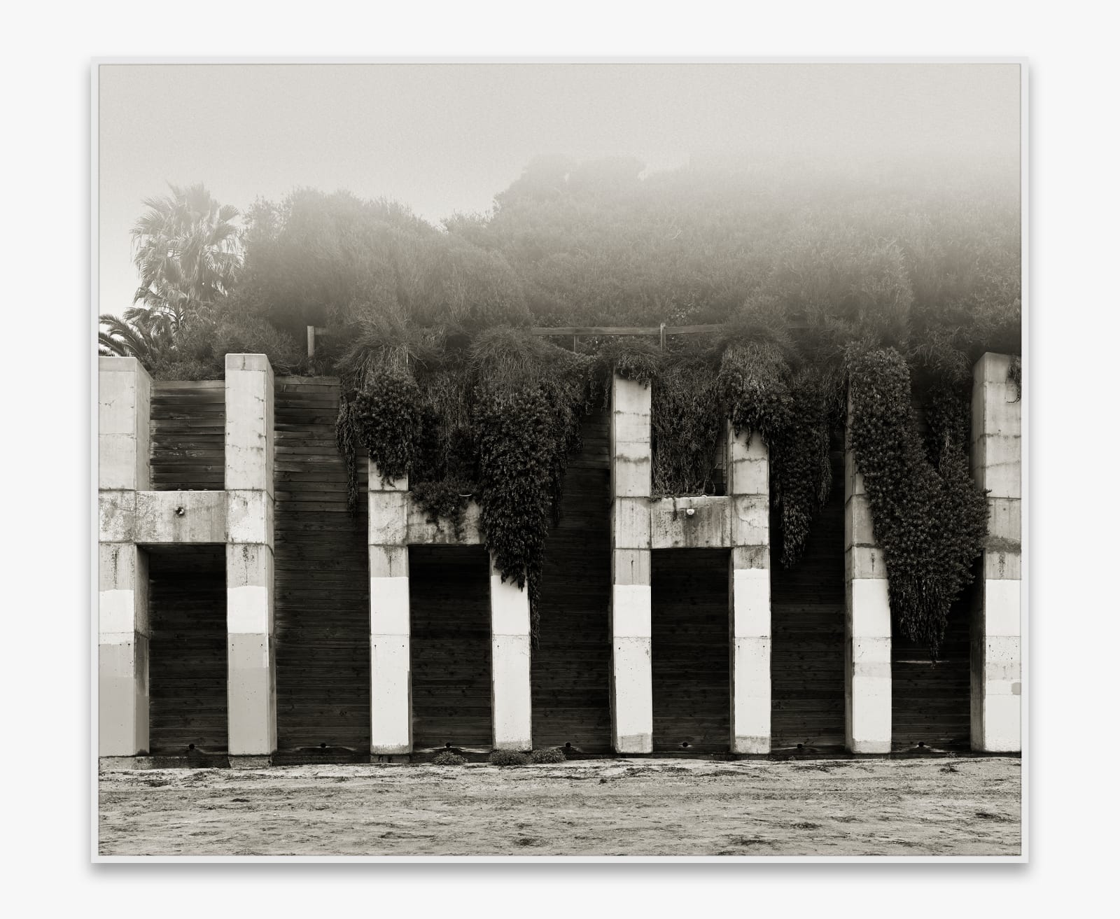 Amir Zaki, Coastline Cliffside 41, 2012