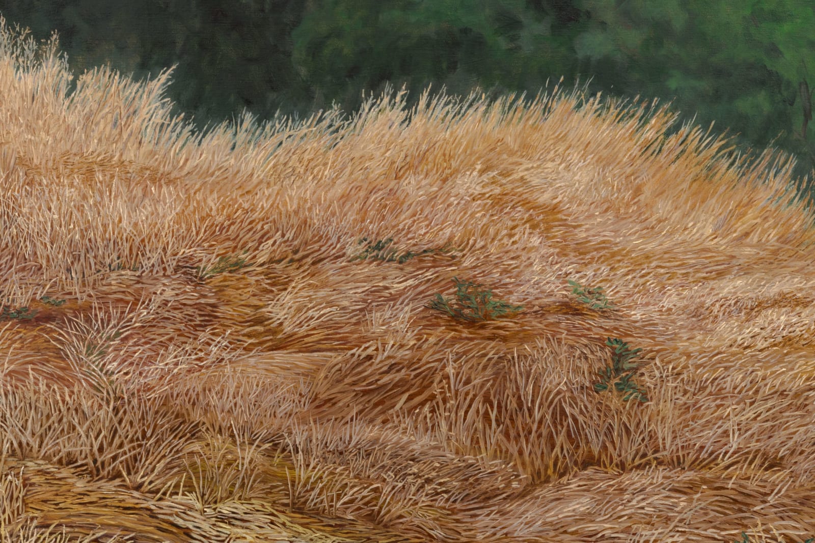 Pam Posey, Field Study, 2024