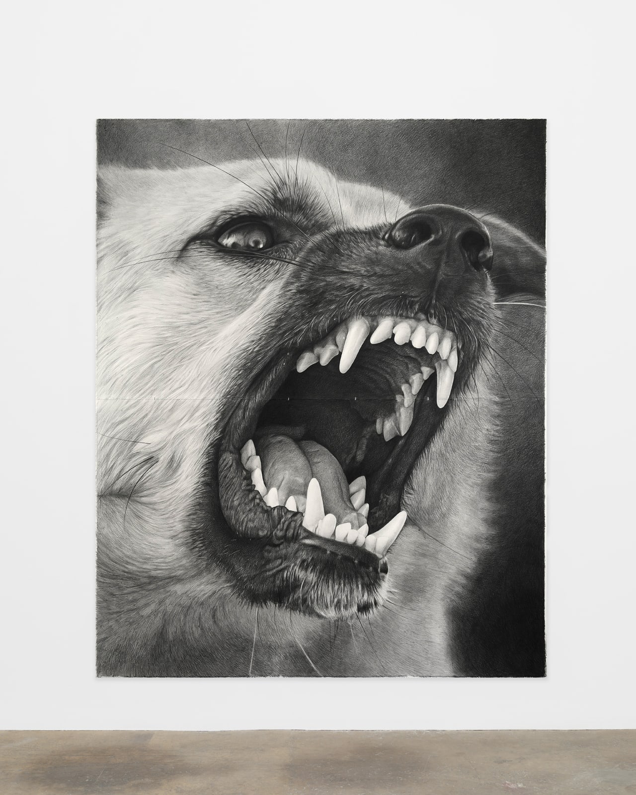 Karl Haendel, Angry Dog 9, 2024