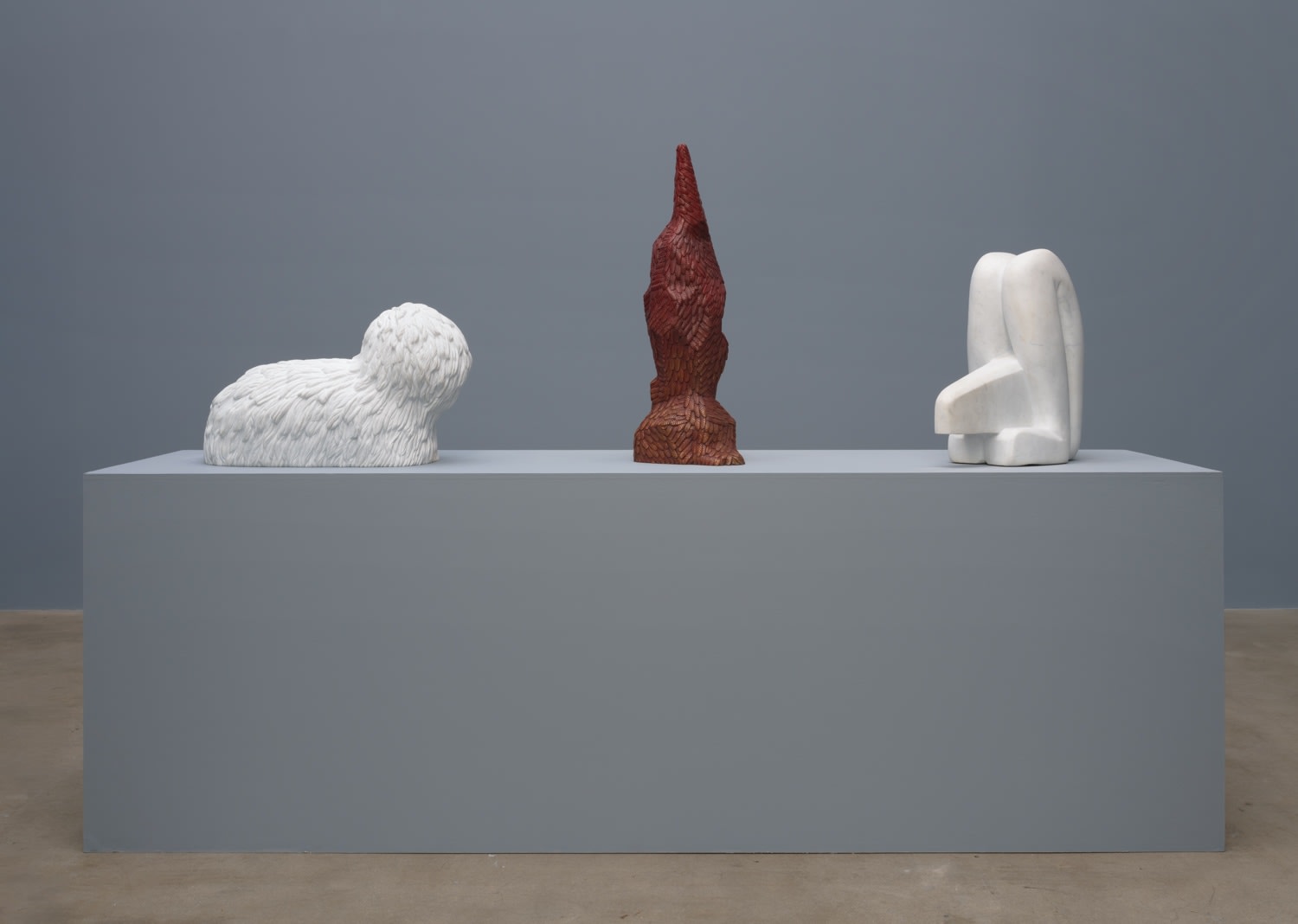 Carl D'Alvia, Barboncino, 2019