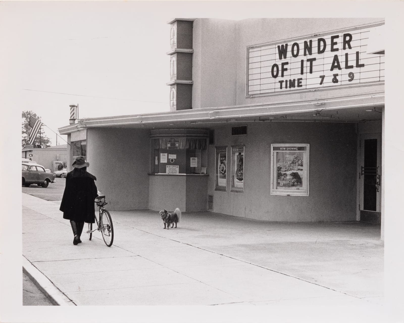 Eleanor Antin, Untitled (from "The King of Solana Beach"), 1974-75