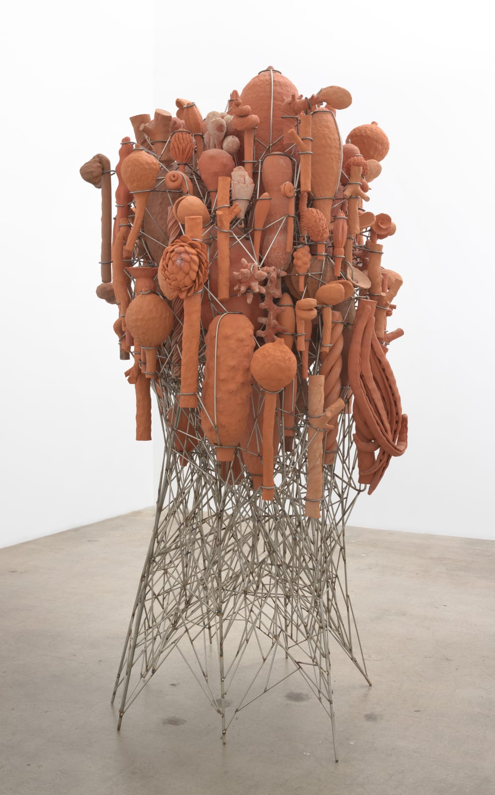 David Hicks, Terraflora, 2018-2020