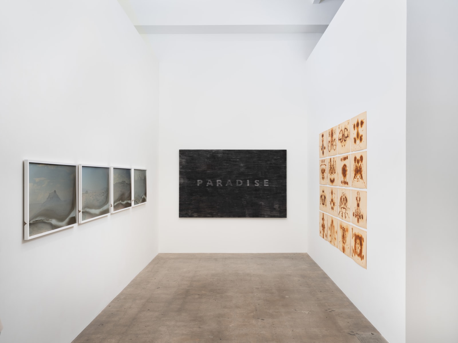 Ashanti Chaplin, Interior landscape (9), 2024