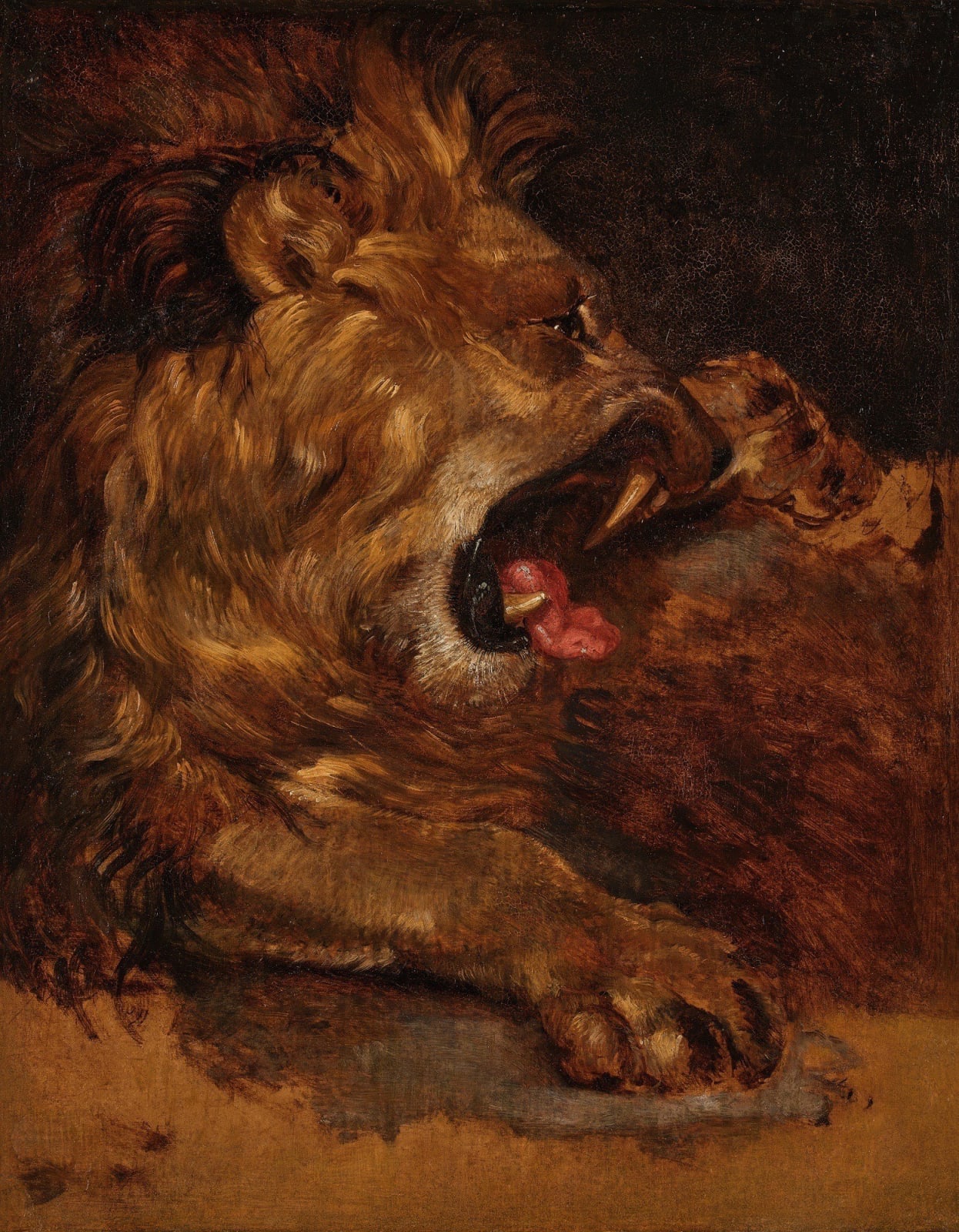 Sir Edwin Landseer, R.A., Study of a Lion, 1822