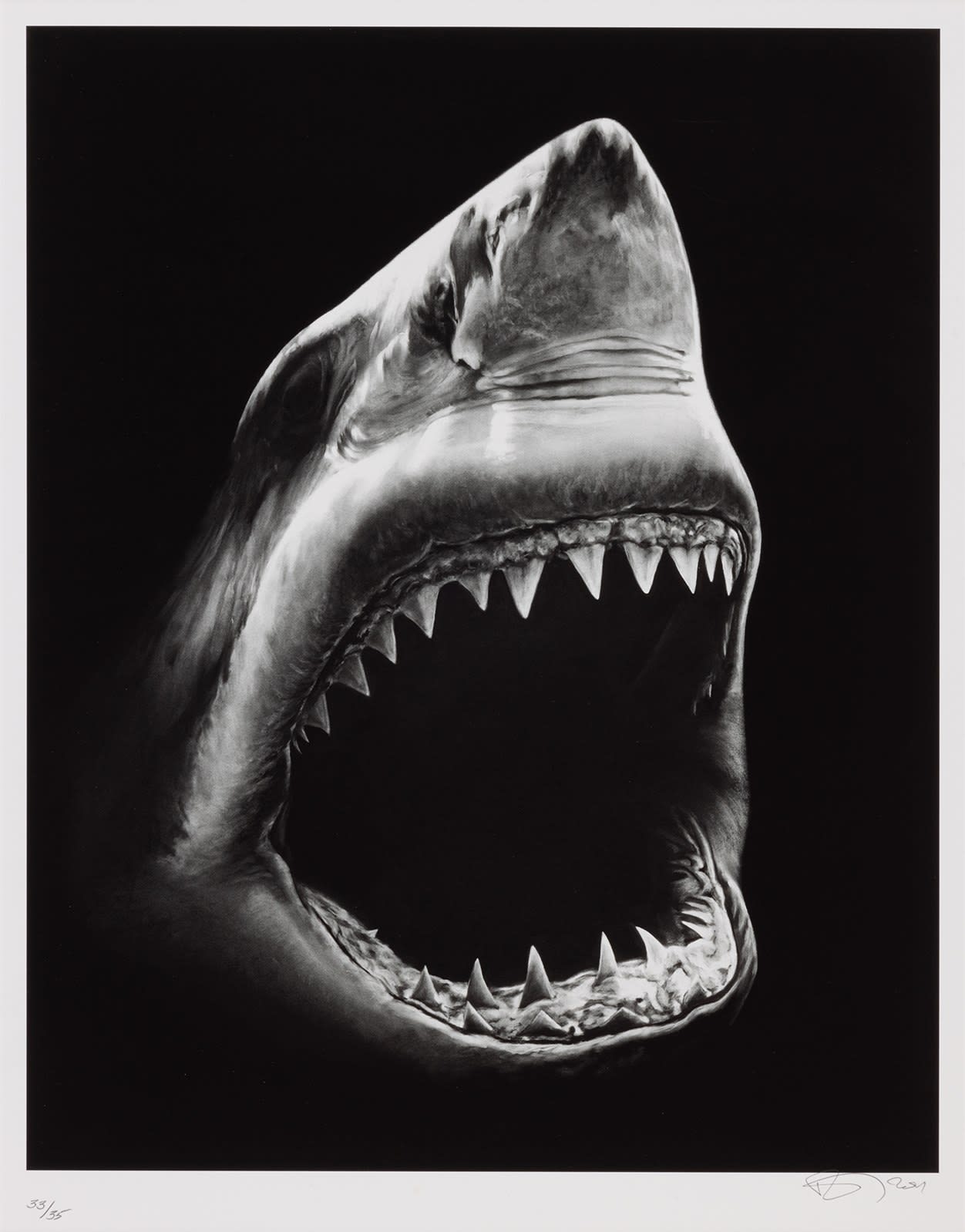 Robert Longo, Untitled (Shark 5), 2011