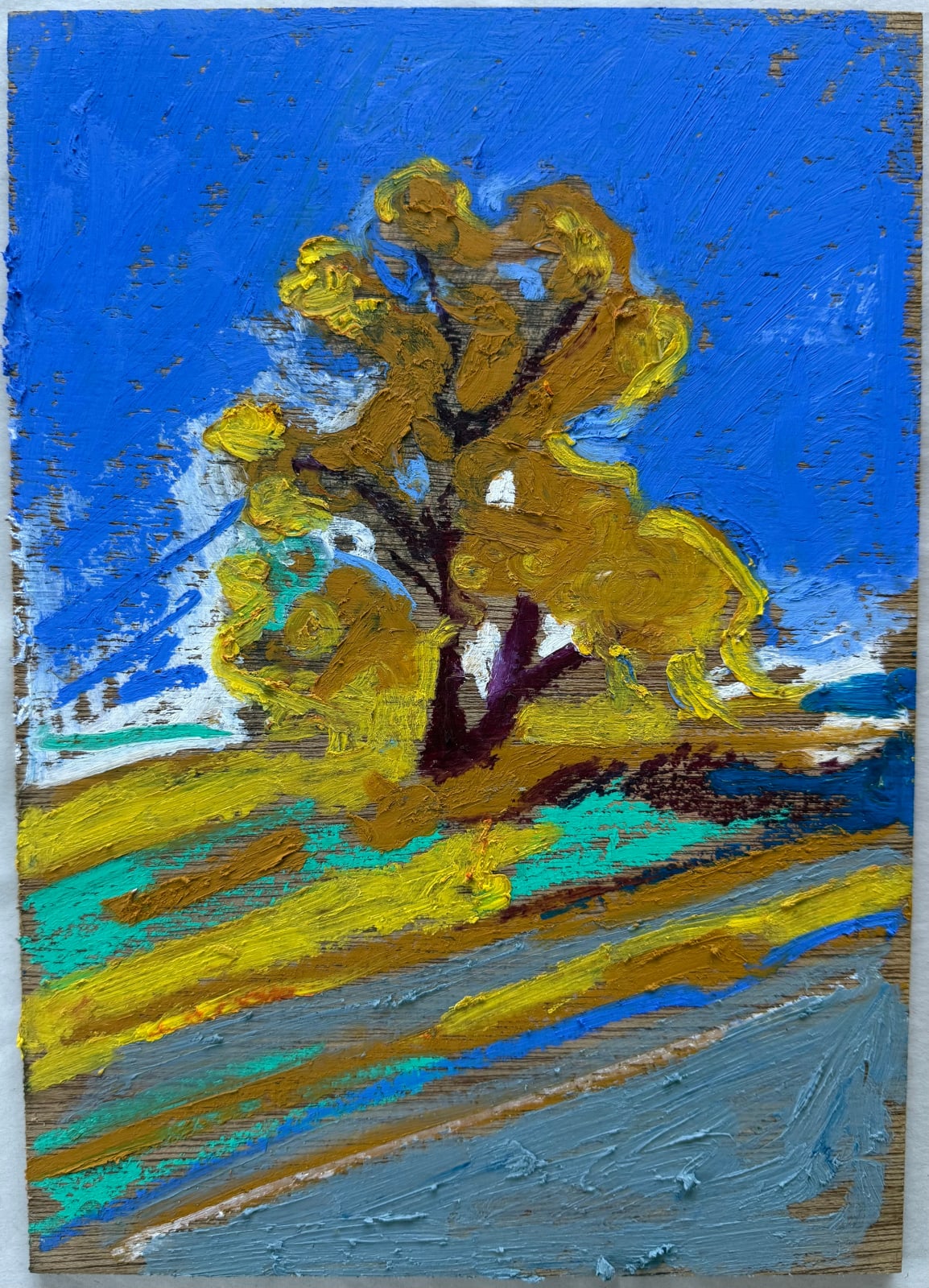 James Vaulkhard, Cottonwood, 2024