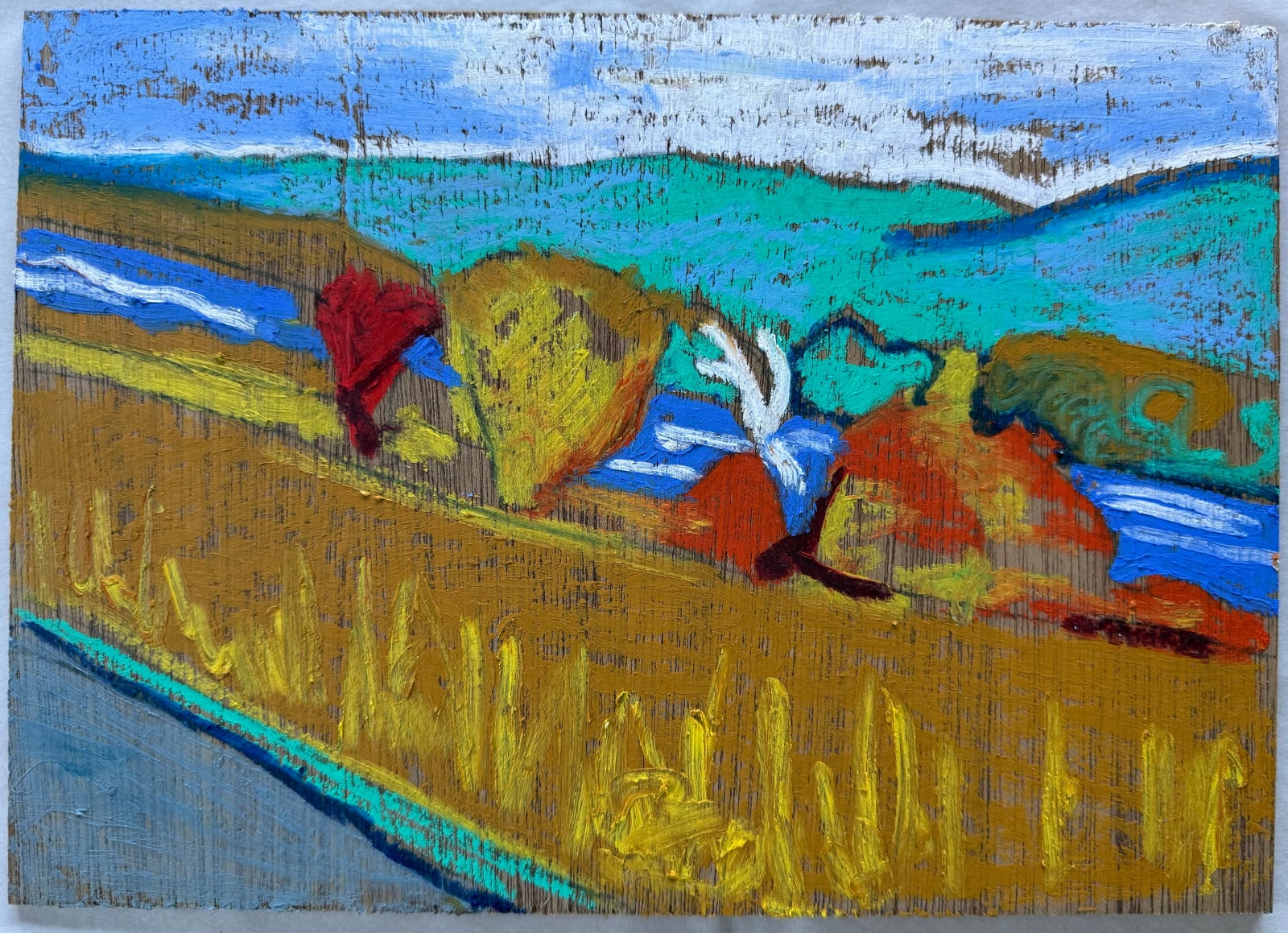 James Vaulkhard, The Missouri River, 2024