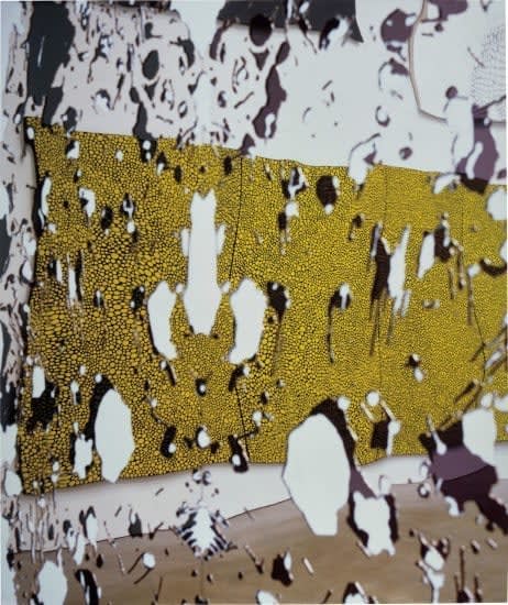 Louise Lawler, Not Lizard, 2002