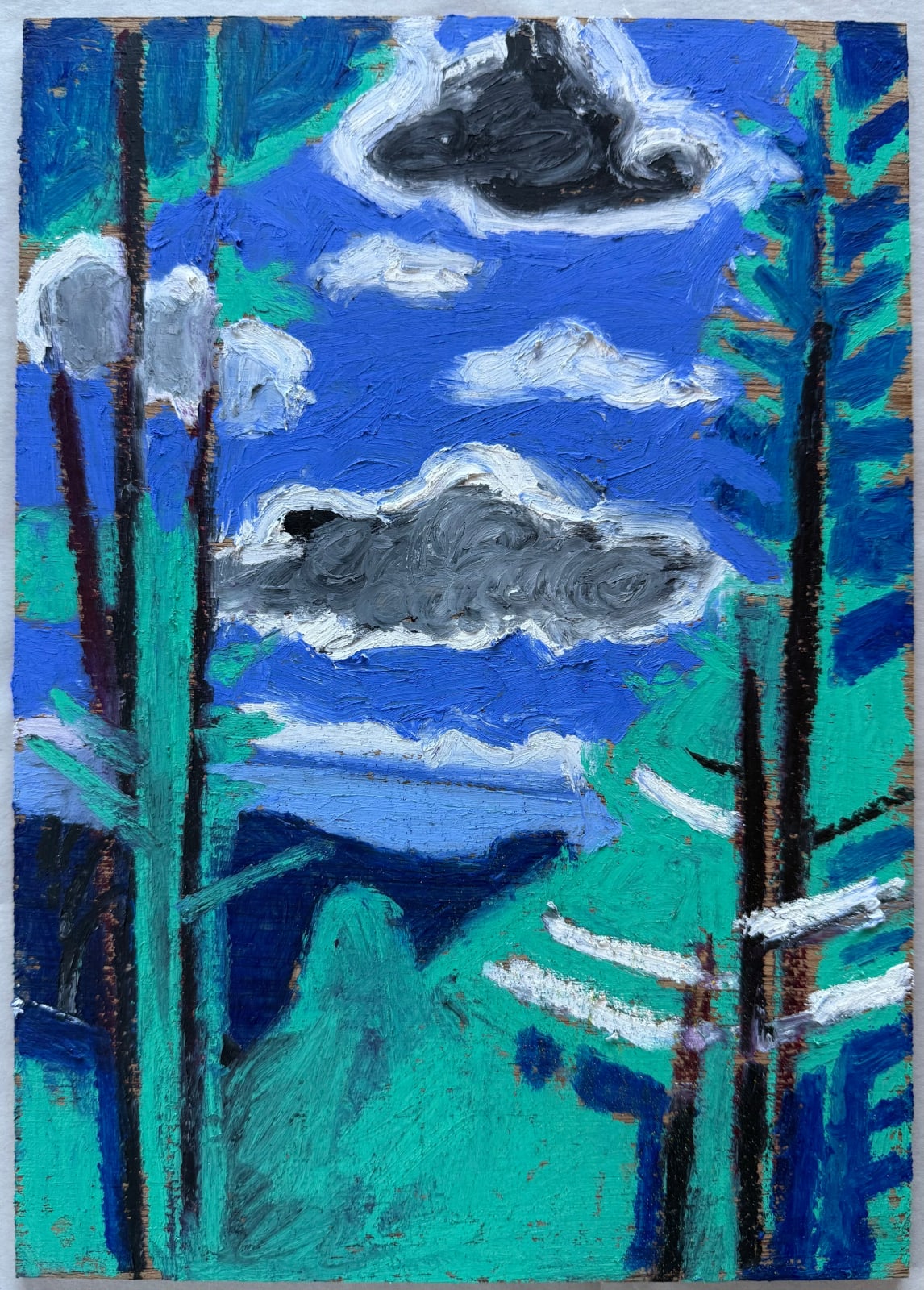 James Vaulkhard, Sequoia, 2024