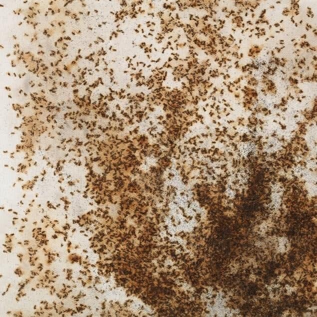 Ryan Conrad Sawyer, BP 6 , 2014