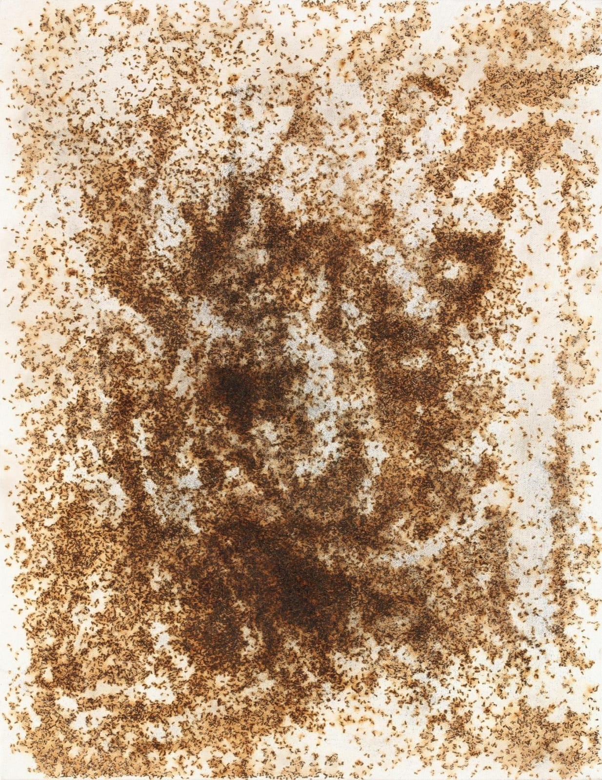 Ryan Conrad Sawyer, BP 6 , 2014