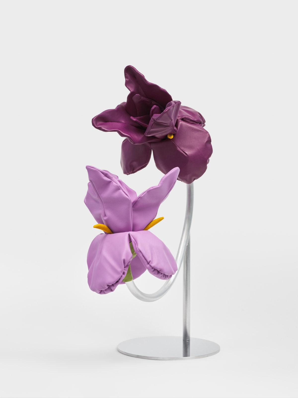 Rose Nestler, Specimen (Iris), 2023