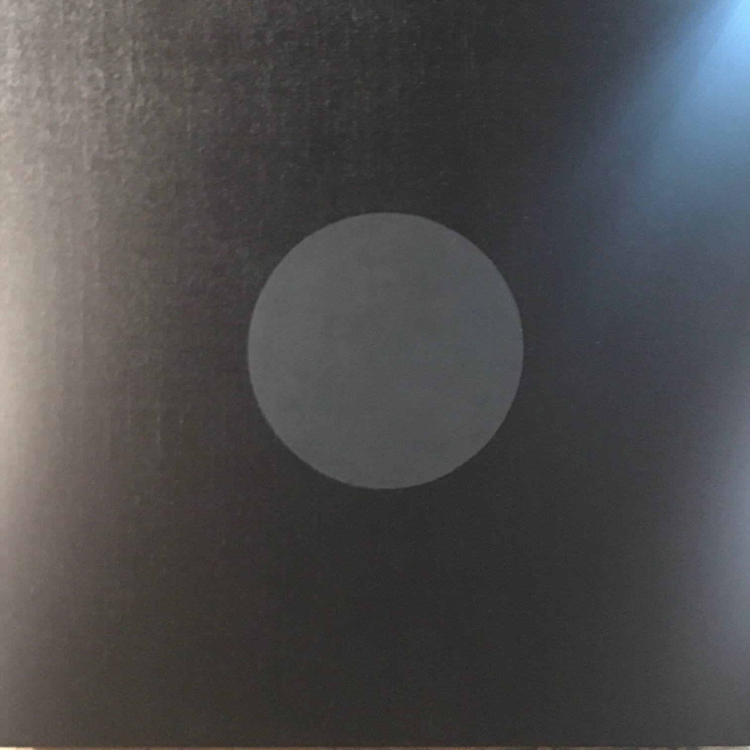 Damian Loeb, 2019 started