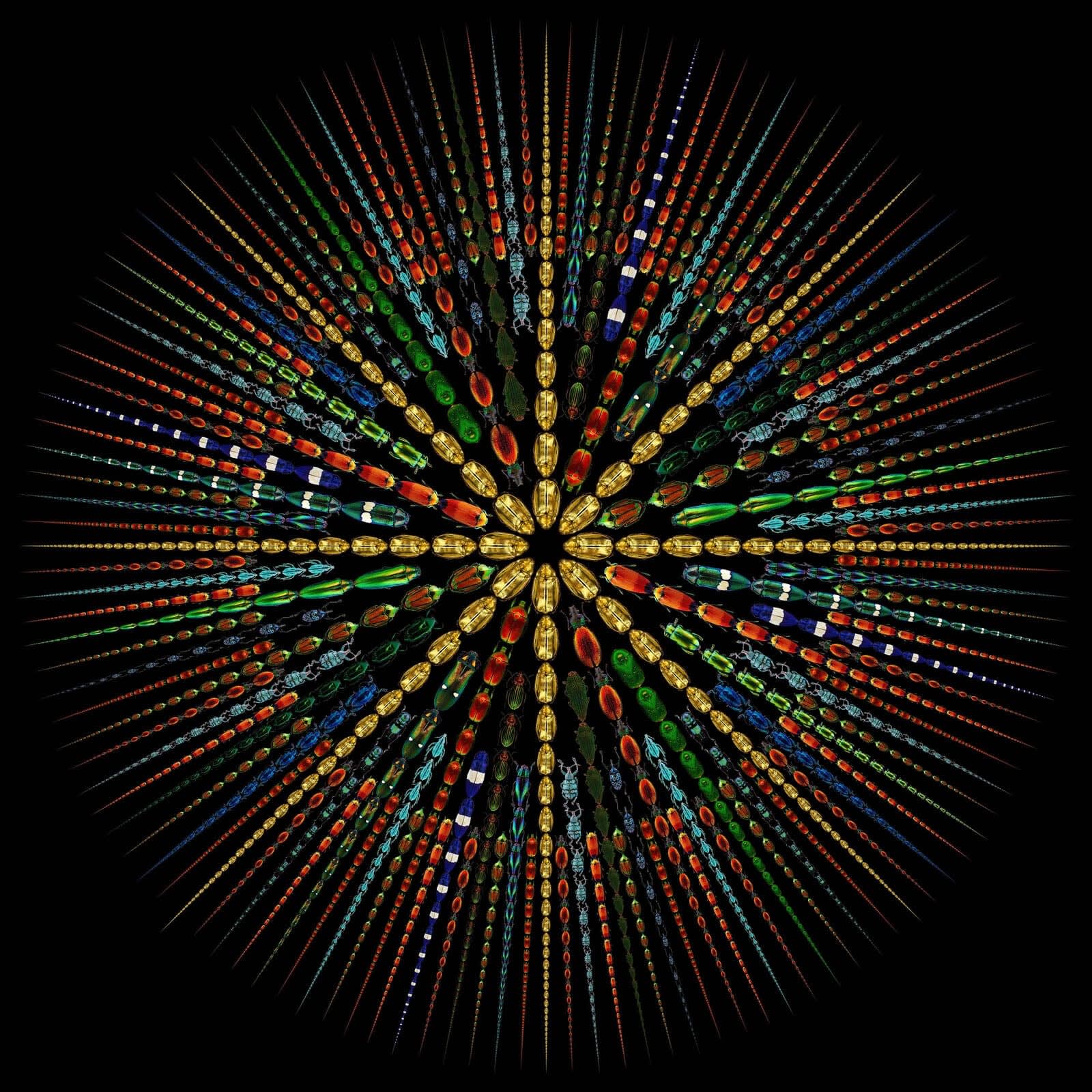 Illusion 1