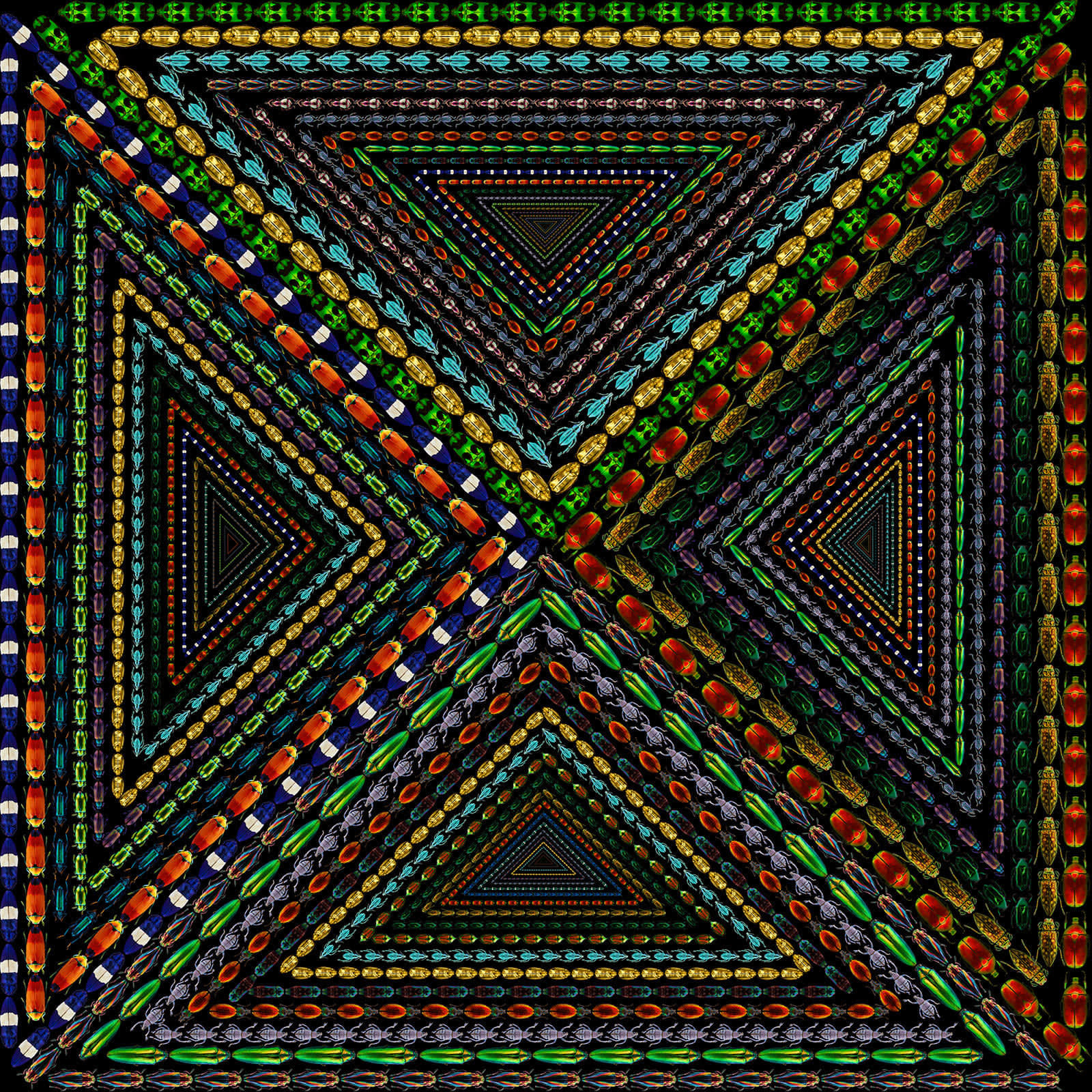 Illusion 11