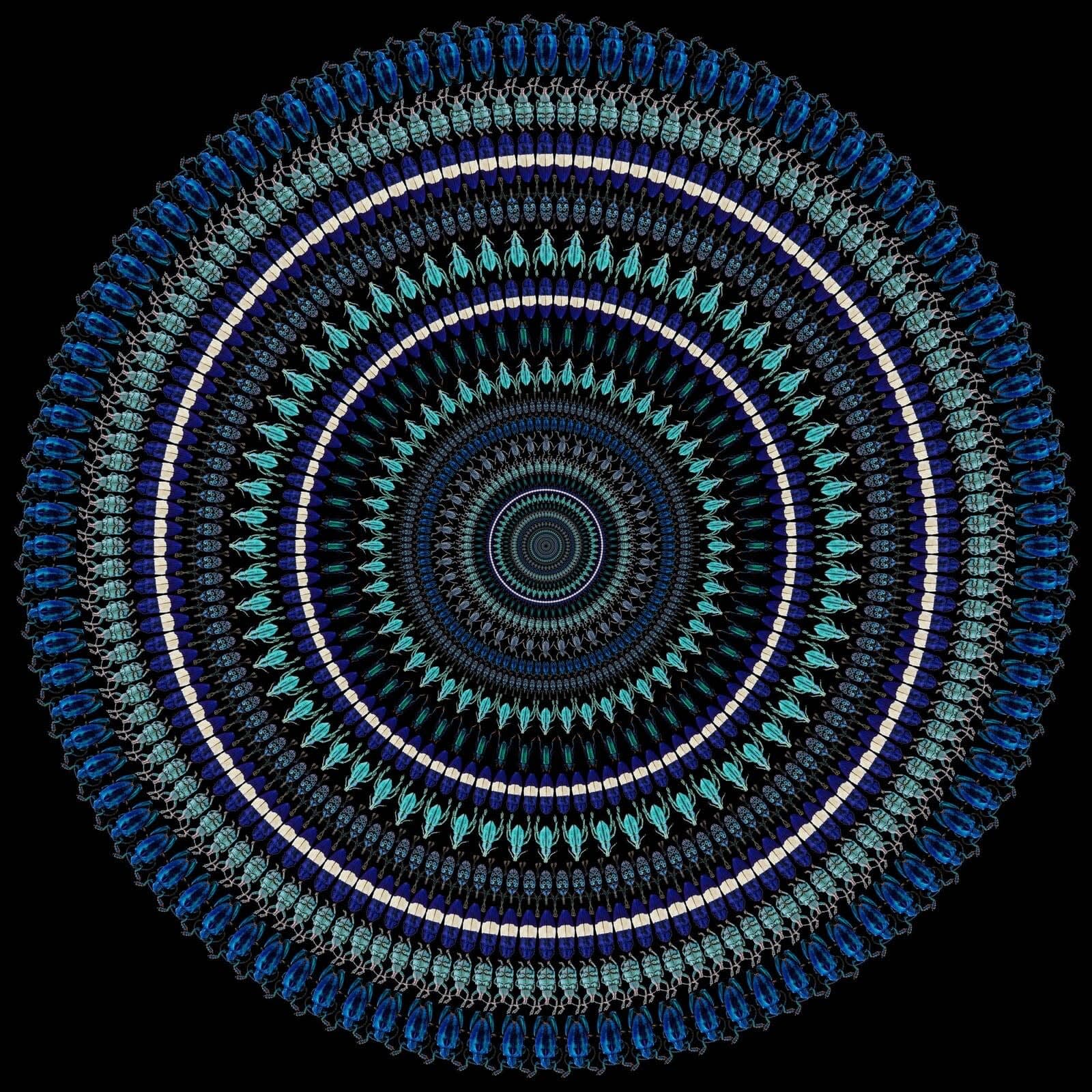 Illusion 13