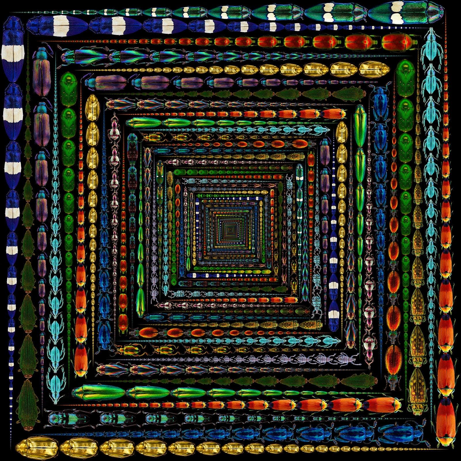 Illusion 8
