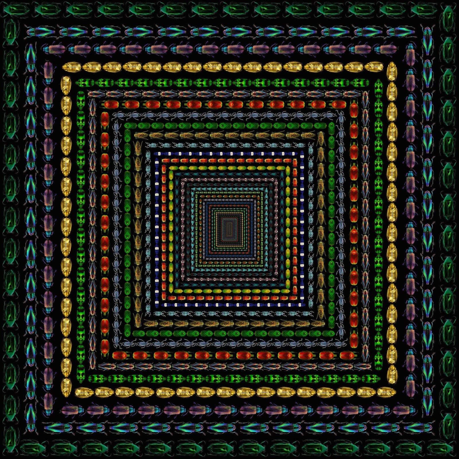 Illusion 5