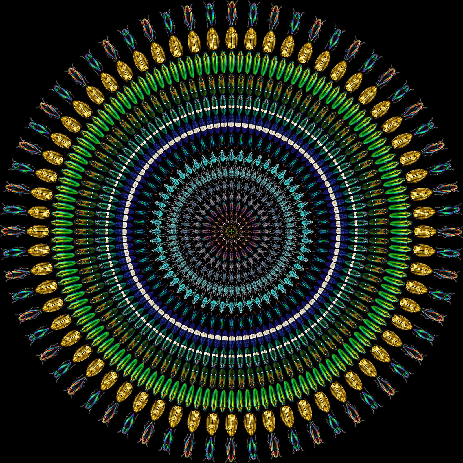 Illusion 9