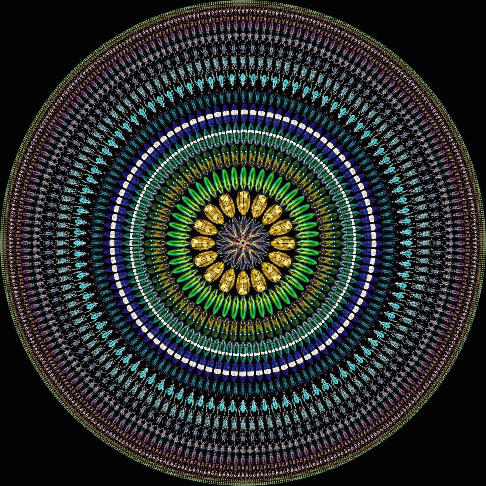 Illusion 7