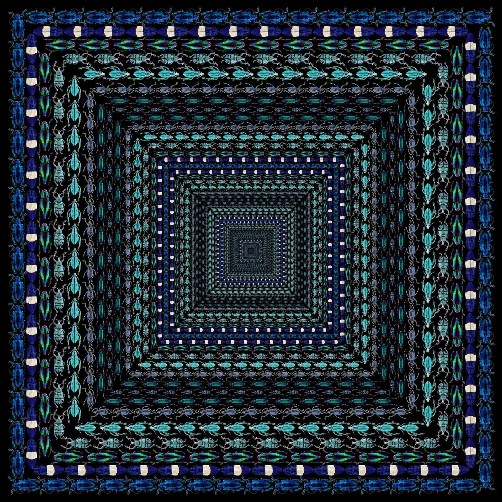 Illusion 4