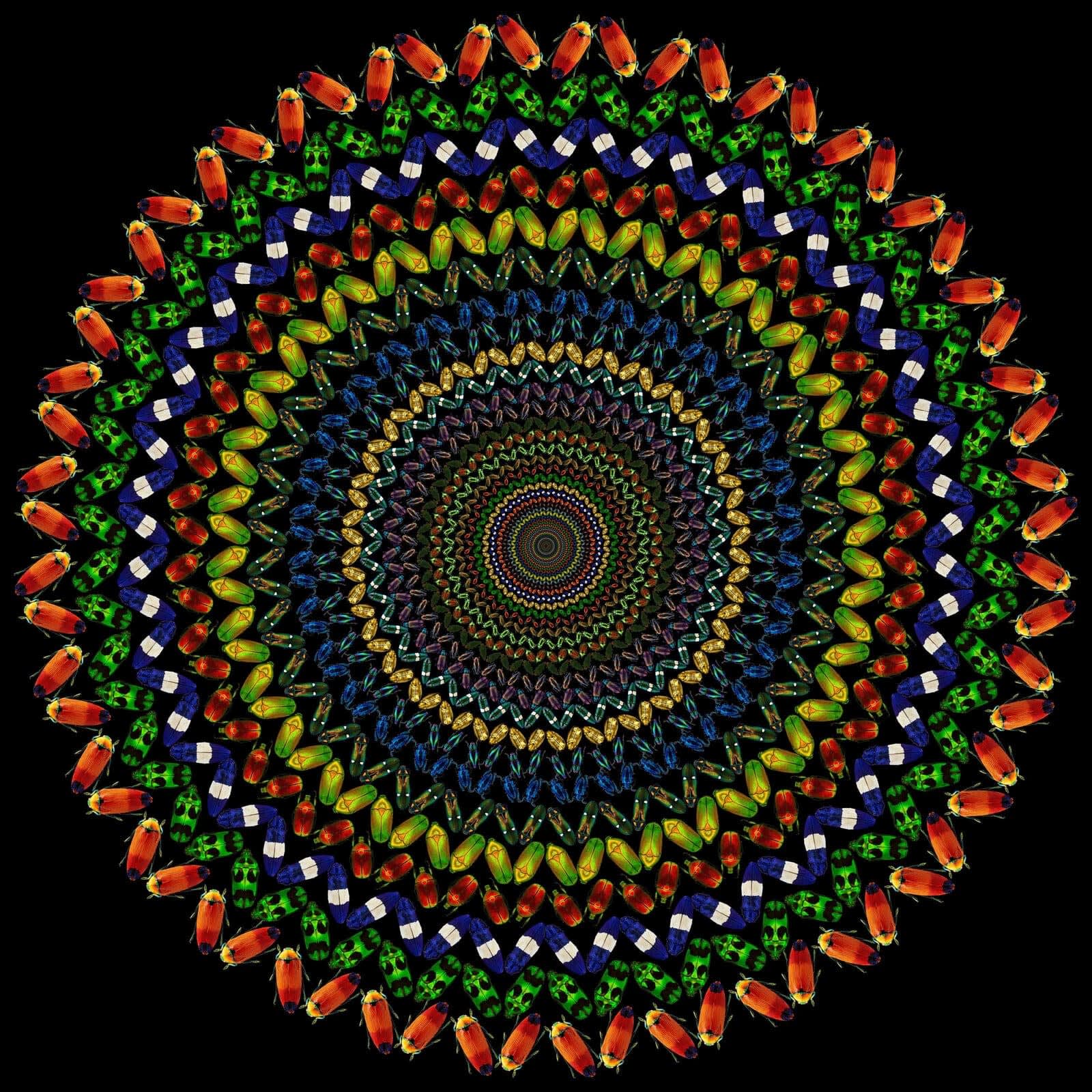 Illusion 2
