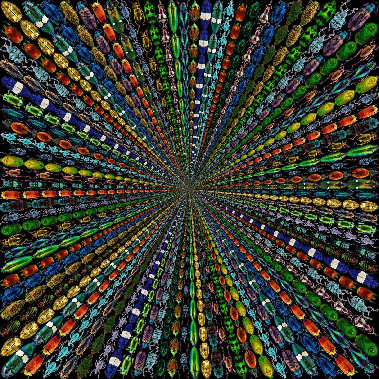 Illusion 3