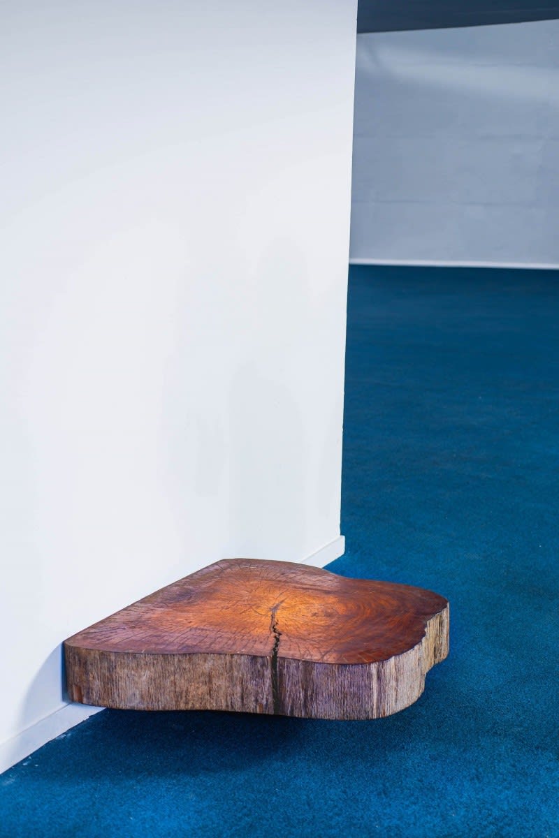 Joaquim Tenreiro, Tree Trunk low table, ca. 1955