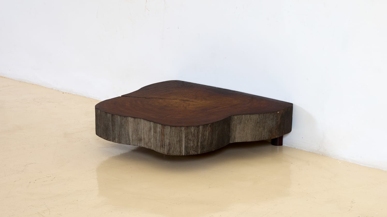Joaquim Tenreiro, Tree Trunk low table, ca. 1955